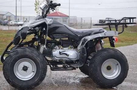 250cc Warrior  10 " Oferta sarbatorilor de iarna - Imaginea 1