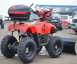 ATV Bashnee Bmw T-Rex 125Cc Livrare In 24H - Imaginea 1