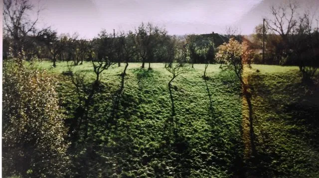 Teren zona montana Valea Mare Pravat 5365m2 - Imaginea 1