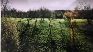 Teren zona montana Valea Mare Pravat 5365m2
