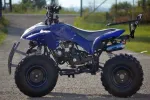 Atv Jumper 125cc Roti de 8 Inch, Model 2020 - Miniatura 3