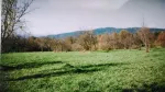 Teren zona montana Valea Mare Pravat 5365m2 - Miniatura 3