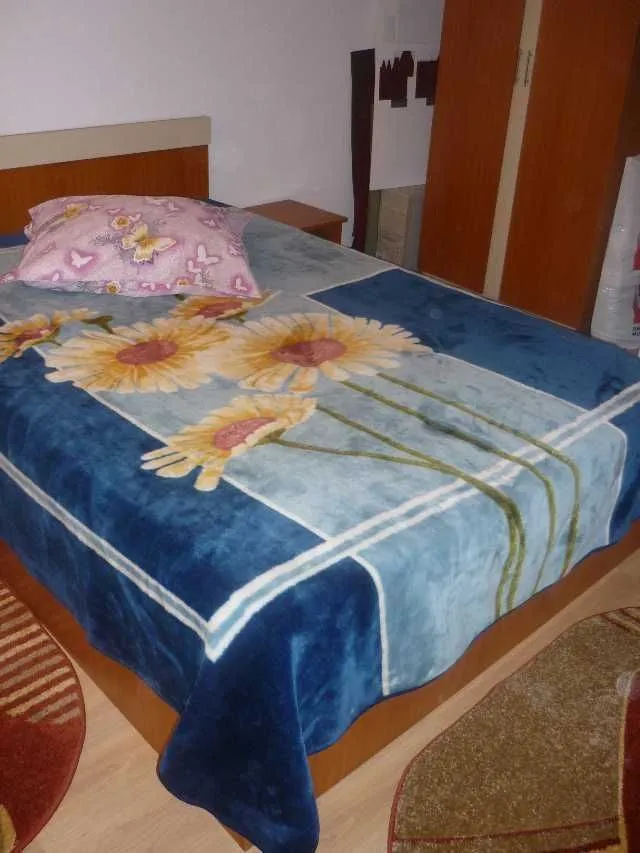 Vanzare apartament 2 camere, Iasi, decomandat - Imaginea 2
