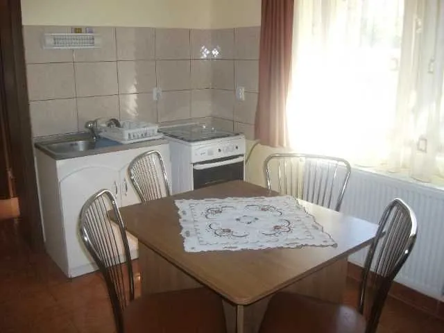 inchiriez casa cu doua dormitoare targu ocna - Imaginea 3