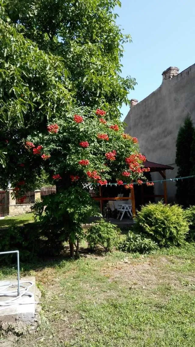 inchiriez casa cu doua dormitoare targu ocna - Imaginea 8