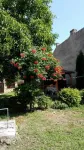 inchiriez casa cu doua dormitoare targu ocna - Miniatura 8