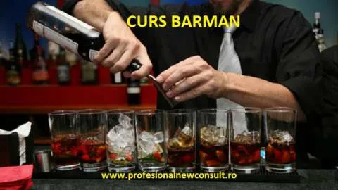 Curs Barman Preparator - Imaginea 1