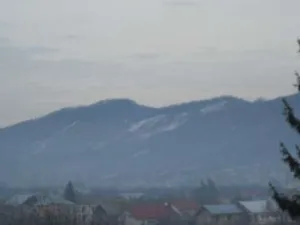 imobil Branesti