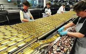 Fabrica de preparate si conserve din peste Norvegia/ 2500 euro - Imaginea 1