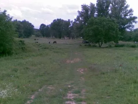 Vanzare teren Dudovicesti, 4400 mp - Imaginea 1
