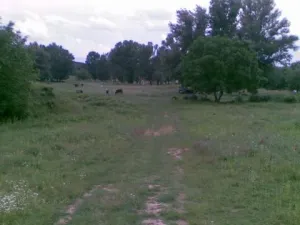 Vanzare teren Dudovicesti, 4400 mp