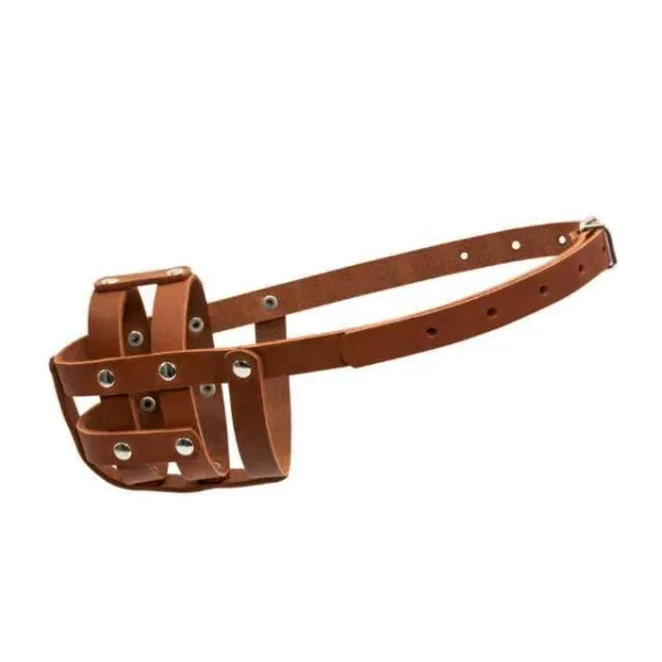 Botnita din piele naturala pentru Cocker Spaniel - Imaginea 1