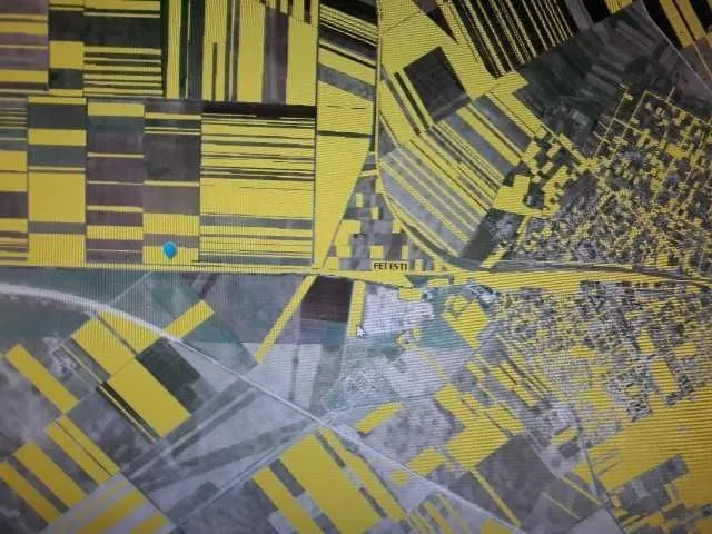 Teren Agricol vanzare fetesti ialomita - Imaginea 1