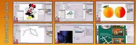 Curs Adobe Illustrator CC - Imaginea 2