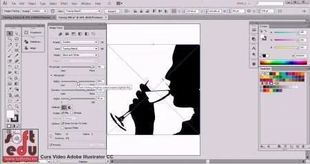 Curs Adobe Illustrator CC - Imaginea 3