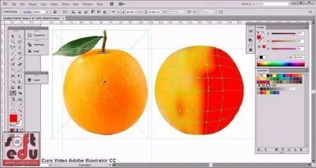 Curs Adobe Illustrator CC - Imaginea 6