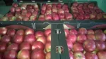 Mere de vanzare din soiurile Florina si Idared, pret 1, 20 lei/ kg - Miniatura 1