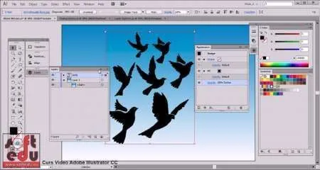 Curs Adobe Illustrator CC - Imaginea 7