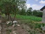 Teren intravilan plus casa. 3000 metri Sat Posta Judet Tulcea - Miniatura 4