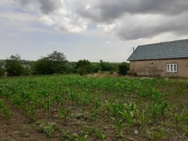 Teren intravilan plus casa. 3000 metri Sat Posta Judet Tulcea - Imaginea 5