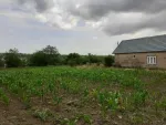 Teren intravilan plus casa. 3000 metri Sat Posta Judet Tulcea - Miniatura 5
