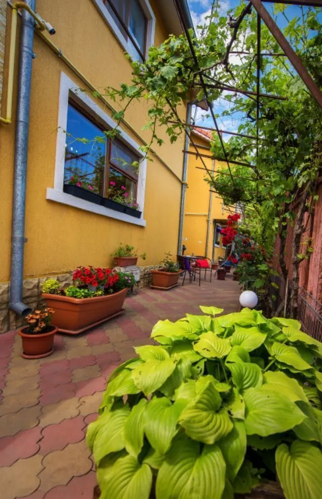 Cazare Mangalia Vila Levent Cu Tichete de vacanta Vouchere sau Card Vacanta - Imaginea 2
