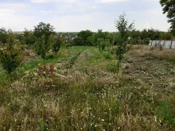 Teren intravilan plus casa. 3000 metri Sat Posta Judet Tulcea - Imaginea 6