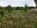 Teren intravilan plus casa. 3000 metri Sat Posta Judet Tulcea - Miniatura 6