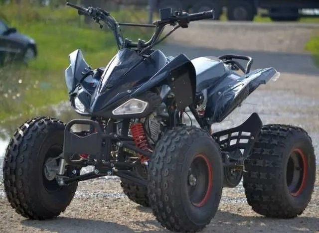Atv Model Raptor 125cc, Roti de 8 Inch, 4w2 - Imaginea 1