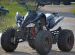 Atv Model Raptor 125cc, Roti de 8 Inch, 4w2 - Miniatura 1