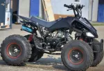 Atv Model Raptor 125cc, Roti de 8 Inch, 4w2 - Miniatura 2
