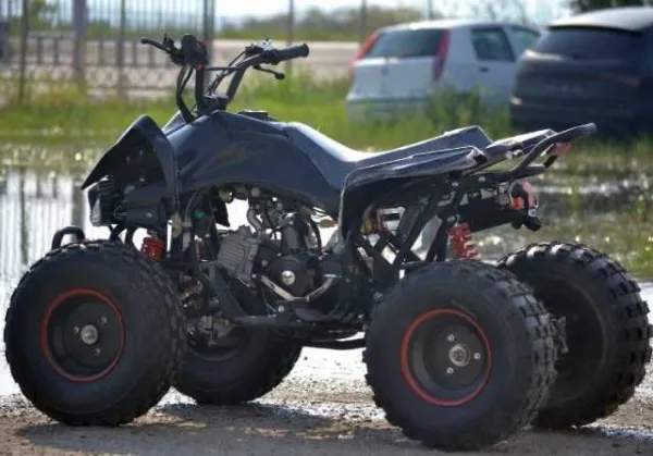 Atv Model Raptor 125cc, Roti de 8 Inch, 4w2 - Imaginea 3