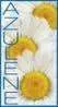 CREMA DE MASAJ ANTICUPEROZA CU AZULENA PENTRU TEN INROSIT ALERGIC SI SENSIBIL DR. TEMT - Imaginea 3