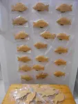 Sculptura in lemn - Miniatura 5