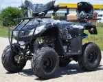 Atv Bmw  T- Rex 125cc 3g7, Model 2020 - Miniatura 1