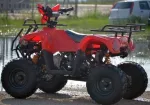 Atv Bmw  T- Rex 125cc 3g7, Model 2020 - Miniatura 5
