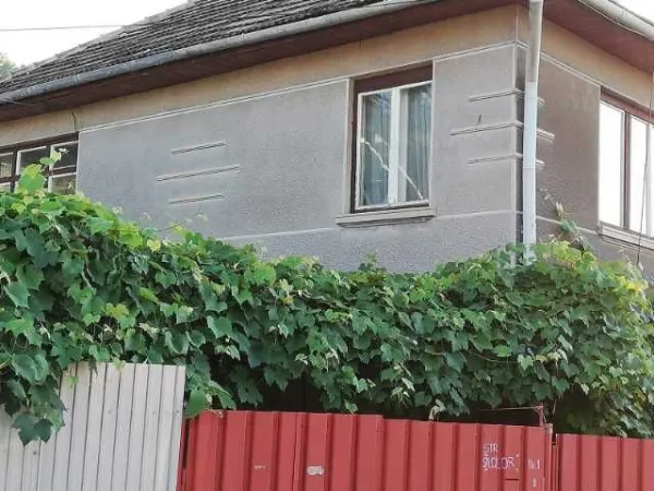 Casa cu gradina - Imaginea 7