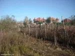 Vand teren+casa oras Strehaia - Miniatura 5