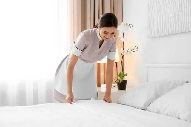 germania domeniul hotelier - Imaginea 1