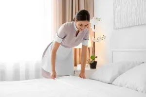 germania domeniul hotelier