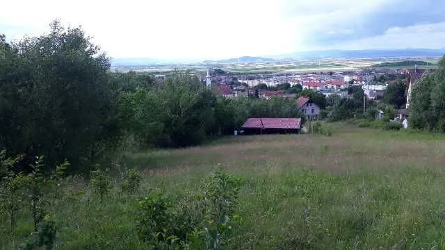 Teren Brasov Sacele 1683 mp - Imaginea 3