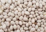 Fasole consum / procesare en- gros - Miniatura 1