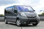 Inchirieri Auto Timisoara / Rent a car Arad / Microbuze - Miniatura 8