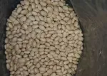 Fasole consum / procesare en- gros - Miniatura 3