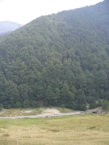 teren extravilan 9000mp aproape de statiunea de schii Rausor.