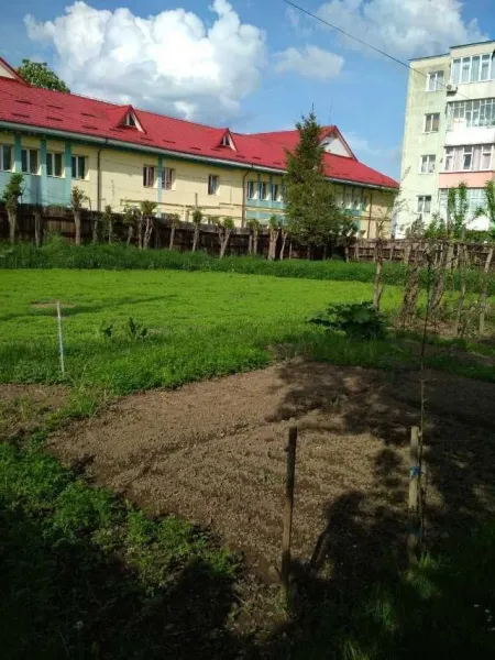 Imobil cu teren 1510 m² zona ultracentrala Moinesti Bacau - Imaginea 6