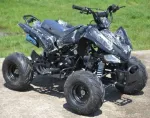 Atv Speedy 125cc Roti de 7 Inch, nou cu garantie kxd - Miniatura 3