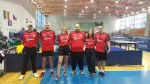 Cursuri tenis de masa - Deva - Miniatura 4