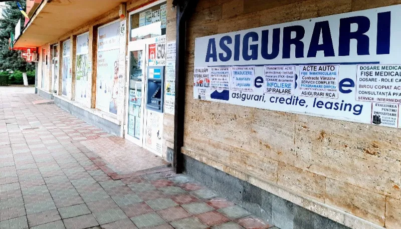 Consultanta Inmatriculare Auto intocmire dosarelor pentru inmatriculare auto. Agentia Rot Simeria - Imaginea 6