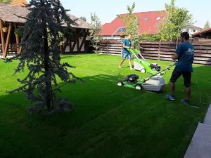 personal curatenie germania